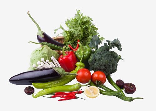 平衡飲食的關(guān)鍵 聚焦重點食物與科學(xué)餐飲服務(wù)