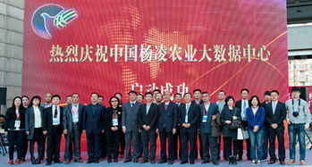 北京電子信息職業(yè)教育集團(tuán) 打造產(chǎn)教融合新生態(tài)，賦能教育信息服務(wù)升級(jí)